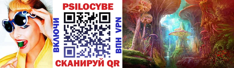 Галлюциногенные грибы Psilocybe Лениногорск