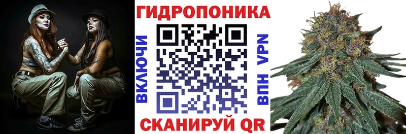Каннабис планчик  KRAKEN онион  Лениногорск  где найти наркотики 